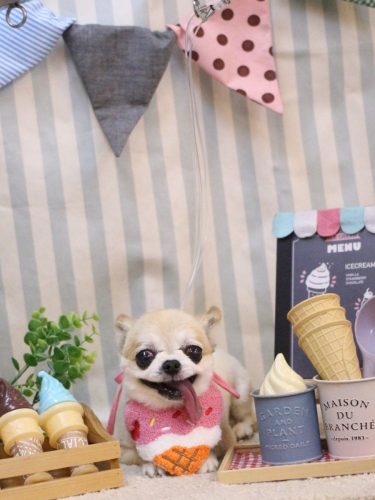 20250510momoちゃん